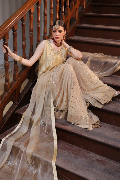 Mona Imran | Dilzaib Formals | Seerat - House Of Anaya