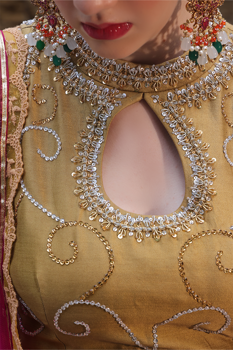 Mona Imran | Dilzaib Formals | Meena - House Of Anaya