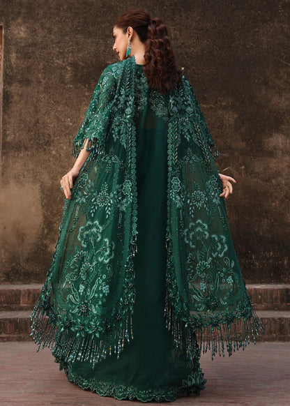 Crimson | JHILMIL | ZAMARD