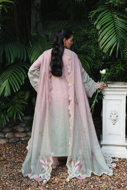 Qalamkar | Q Line Lawn Drop | RP-04 VANYA