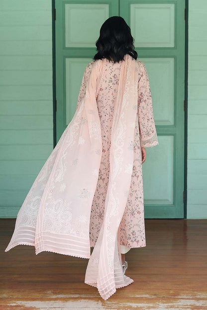 Qalamkar | Q Prints 26 | AX-02 (B) KENA