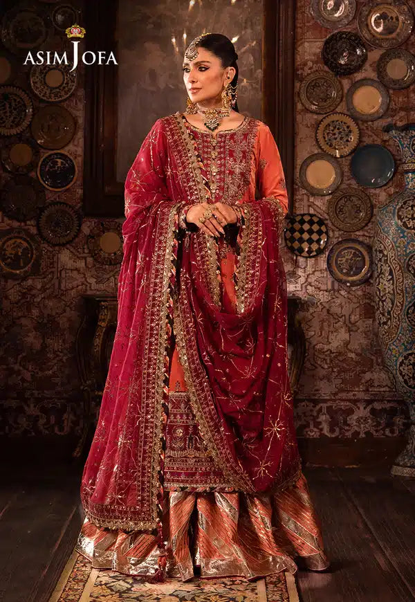 Asim Jofa | Makhmal Wedding Velvet 23 | AJMM-01 - House Of Anaya