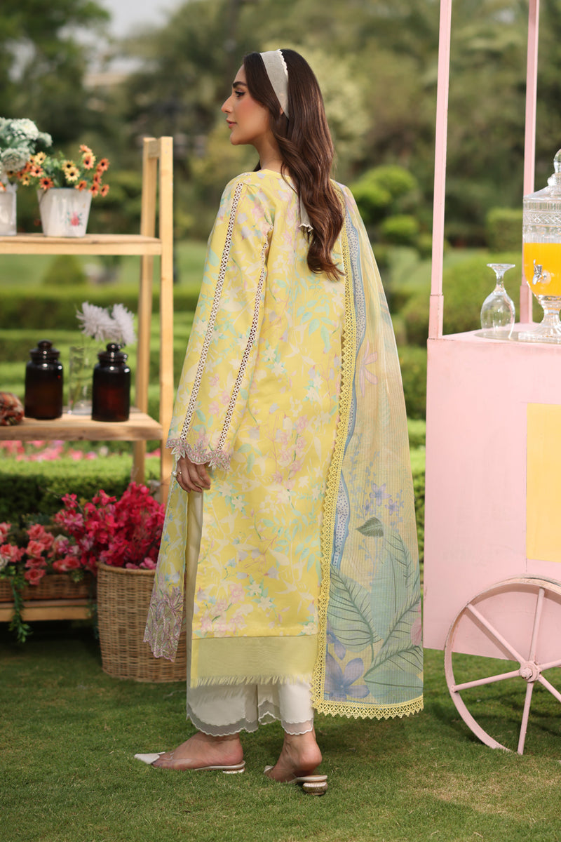 Rangrasiya | Lifestyle Summer Edit 25 |Reena