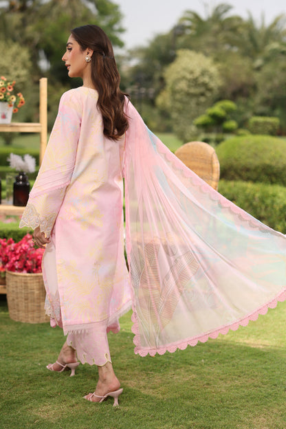 Rangrasiya | Lifestyle Summer Edit 25 | Jade