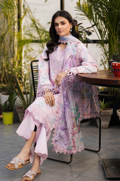 Rangrasiya | Lifestyle Summer Edit 25 | Blush