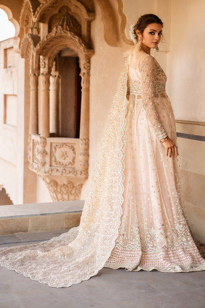 Saad Shaikh | Jahan Festive Collection | JAHAANARA - House Of Anaya