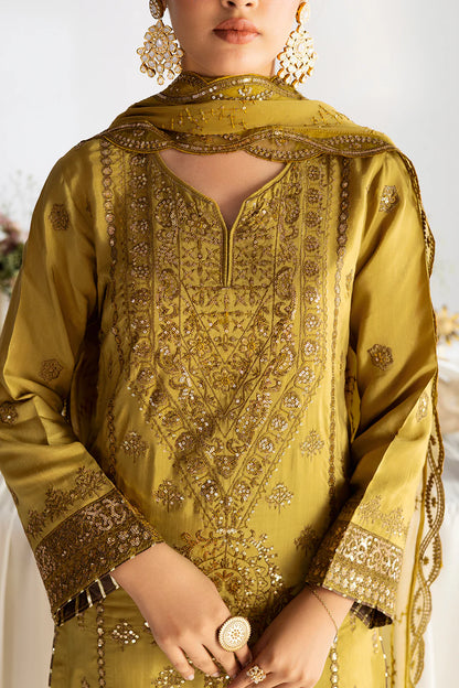 RAMSHA | Aangan Luxury Rawsilk Vol 01. | AA-102