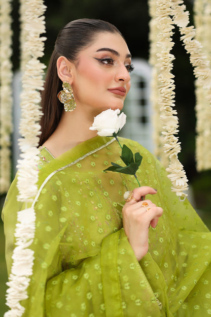 Rangrasiya | Luxe Silk | Radin