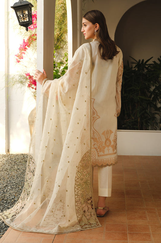 Baroque | Luxury Pret 24 | LAWN UF-662 - House Of Anaya