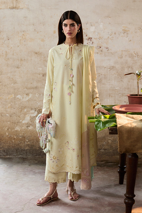 Suffuse | Basic Summer 25 | AMAAH