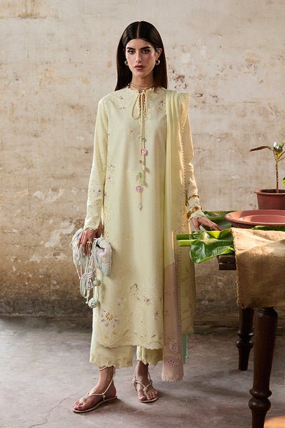 Suffuse | Basic Summer 25 | AMAAH