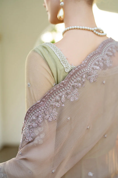 Iznik | Chinon Chiffon | CC-68 Embroidered Chiffon