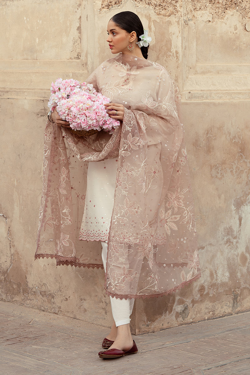 Cross Stitch | Premium Lawn 24 | SPECKLE MESH - House Of Anaya