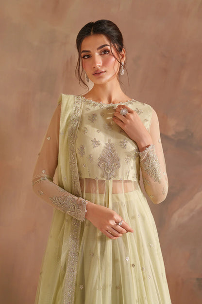 Iznik | Chinon Chiffon | CC-73 Embroidered Net