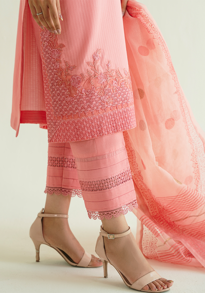 Zarqash | Whispers of Summer |BLUSHWIND