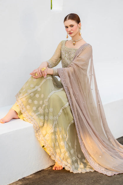 Iznik | Chinon Chiffon | CC-68 Embroidered Chiffon