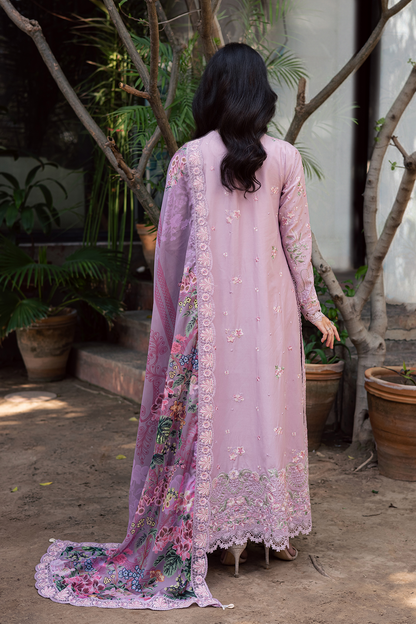 Zarposh | Celia Eid'26 | BLUSHIA