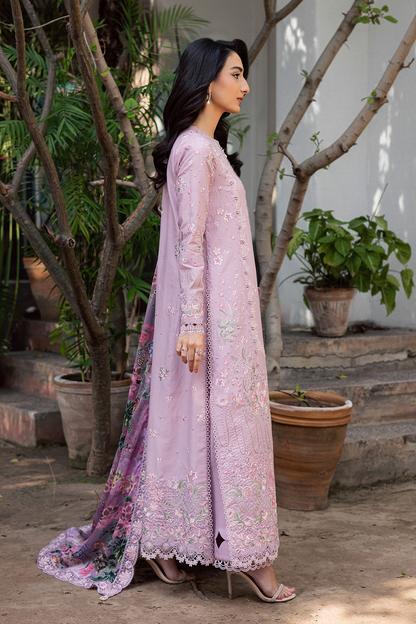 Zarposh | Celia Eid'26 | BLUSHIA