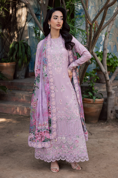 Zarposh | Celia Eid'26 | BLUSHIA