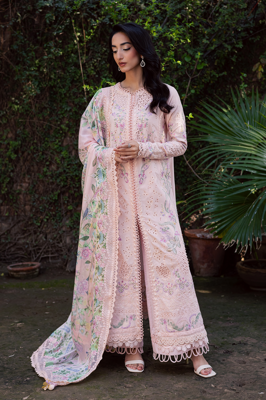 Zarposh | Celia Eid'26 | ELYSE