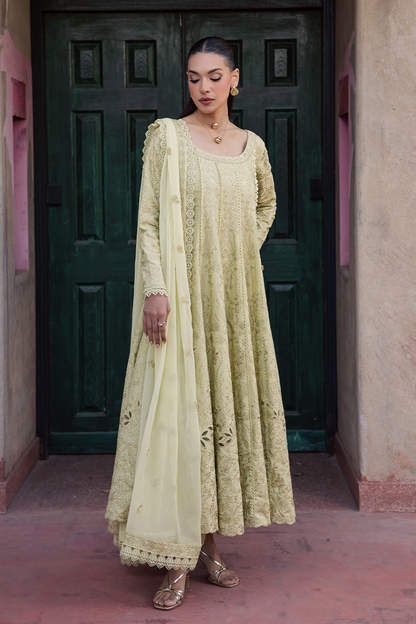 Zarposh | Celia Eid'26 | ELVIA