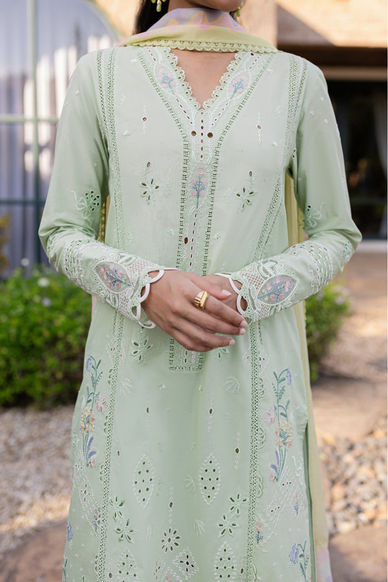 Qalamkar | Q Line Lawn 25 | QM-08 Maia