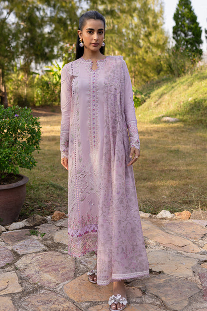 Qalamkar | Q Line Lawn 25 | QM-05 Cecilia