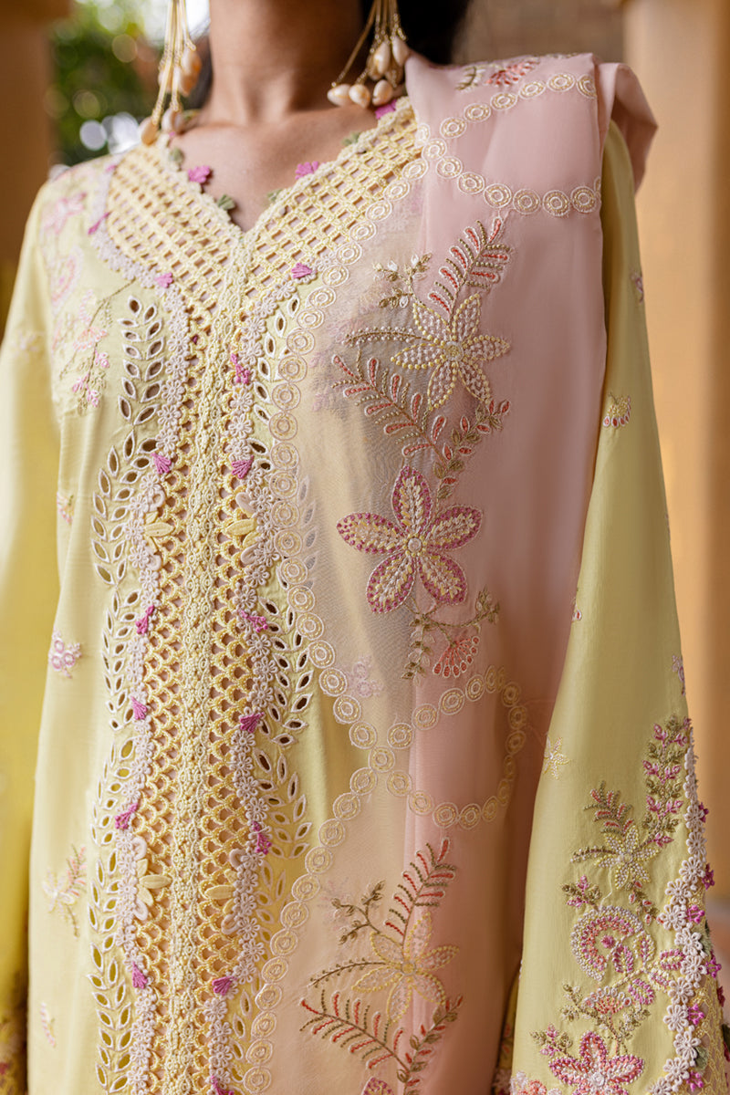 Qalamkar | Q Line Lawn 25 | QM-11 Ina