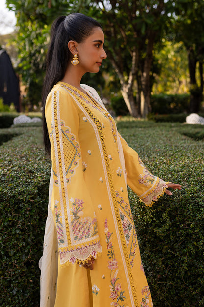 Qalamkar | Q Line Lawn 25 | QM-10 Olena