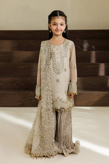 Alizeh | AYMAL V4 - LUXURY BAMBER CHIFFON '26 | AFK-BCH-1012-Navya