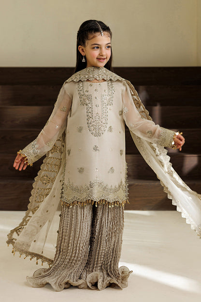 Alizeh | AYMAL V4 - LUXURY BAMBER CHIFFON '26 | AFK-BCH-1012-Navya