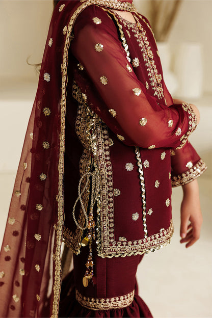 Alizeh | AYMAL V4 - LUXURY BAMBER CHIFFON '26 | AFK-BCH-1009-Lira
