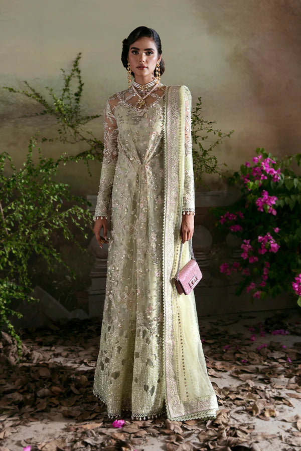 Suffuse | Formal Clothes |  Kiara