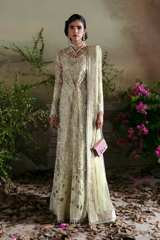 Suffuse | Formal Clothes |  Kiara
