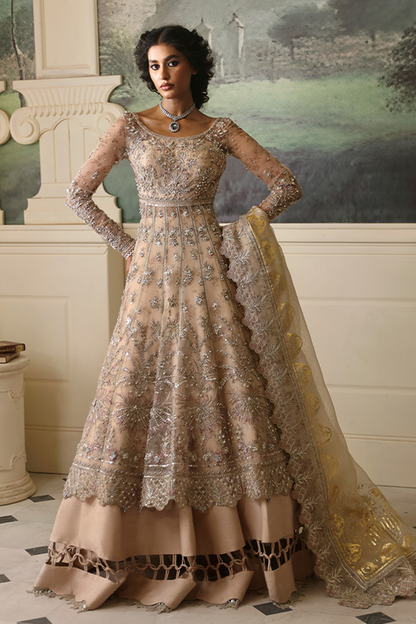 Nyra | Wedding Festive 24 | Dahlia - House Of Anaya