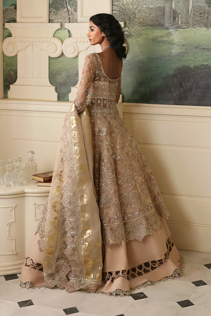 Nyra | Wedding Festive 24 | Dahlia - House Of Anaya