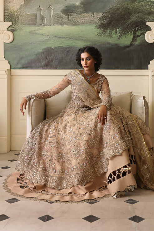 Nyra | Wedding Festive 24 | Dahlia - House Of Anaya