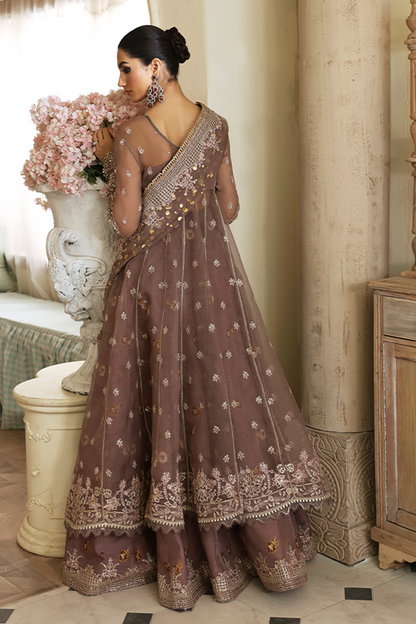 Nyra | Wedding Festive 24 | Aster - House Of Anaya