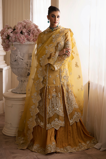 Nyra | Wedding Festive 24 | Aurea - House Of Anaya