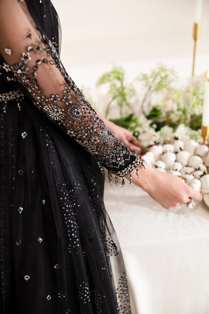 Alizeh | Reena Wedding Edits | AF-HM-4017-LUCENT - House Of Anaya