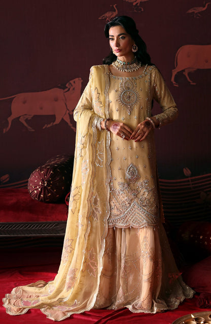 Emaan Adeel | Devdas Formals | MEERA - House Of Anaya