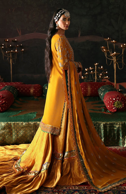 Emaan Adeel | Devdas Formals | ROSHAN JAHAN - House Of Anaya