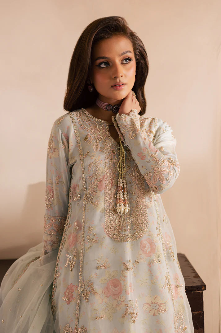 Emaan Adeel | Celine Collection | Arghawani