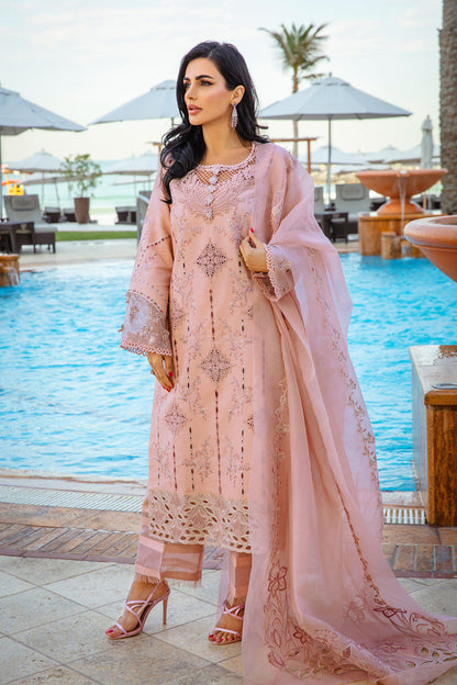Rangrasiya | Premium Summer Lawn 25 | Amani