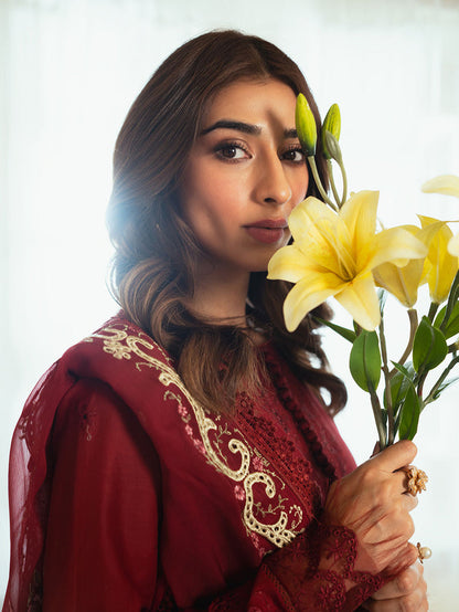 Faiza Faisal | Celine Eid Collection 24 | ZUHA