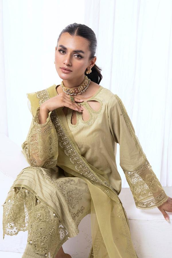 House of Nawab | Lawn Collection 24 | AENI