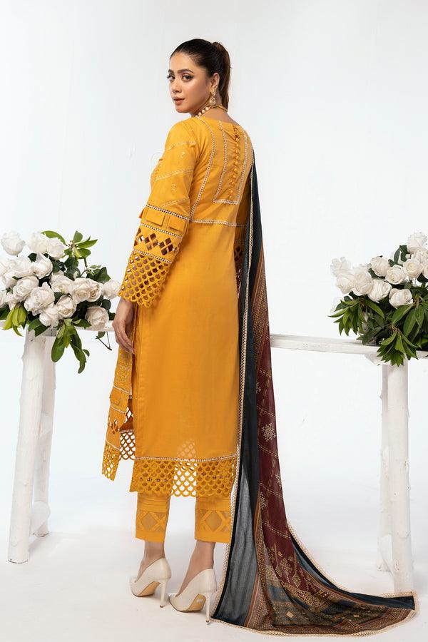 House of Nawab | Lawn Collection 24 | AEMA