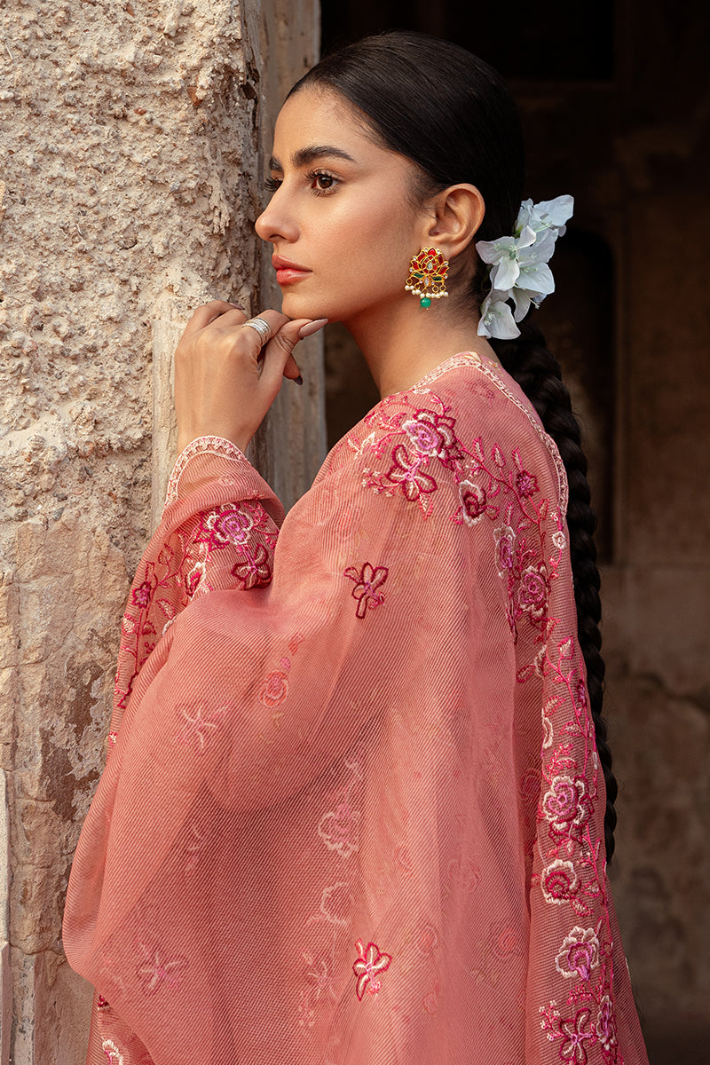 Cross Stitch | Premium Lawn 24 | APRICOT CHARM - House Of Anaya