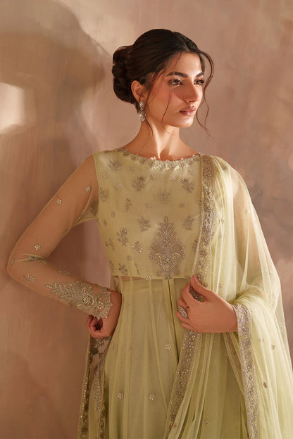 Iznik | Chinon Chiffon | CC-73 Embroidered Net