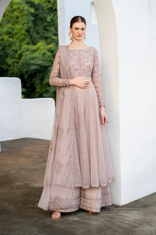 Iznik | Chinon Chiffon | CC-71 Embroidered Net